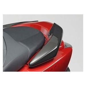 FORZA MF10 グラブレールガーニッシュ カーボン調