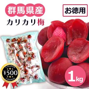赤城フーズ 種とりカリカリ梅 1袋 210g 大粒 業務用 熱中症対策 種なし