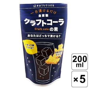 こだま食品 一日漬けるだけ 自家製 クラフトコーラの素 200ml入