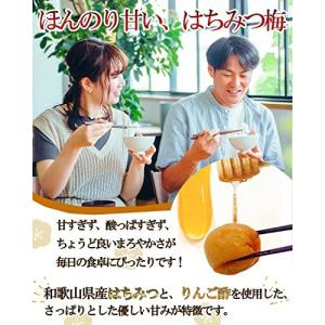 【訳ありA級品】 紀州南高梅 保存料・着色料不...の詳細画像2