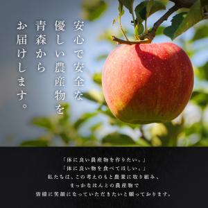 神々の林檎 りんごジュース 720ml まっか...の詳細画像3