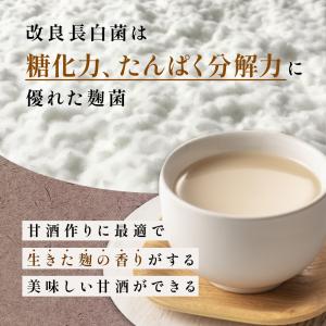 麹 菱六 改良長白菌 小袋 粉状 20g 15...の詳細画像5