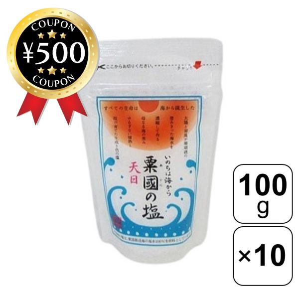 沖縄海塩研究所 粟國の塩 あぐにのしお 天日塩 100g×10袋 大さじスプーン付き 沖縄 粟国島 ...