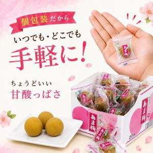 村岡食品工業 あま梅 個包装 50個入 無着色...の詳細画像3