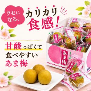 村岡食品工業 あま梅 個包装 50個入 無着色...の詳細画像4