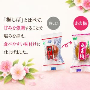 村岡食品工業 あま梅 個包装 50個入 無着色...の詳細画像5