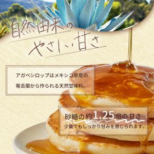 マヤ・ゴールド オーガニック アガベシロップ ...の詳細画像3