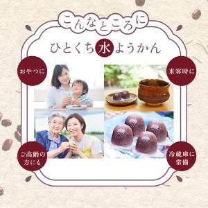 一口羊羹 ひとくち水ようかん 16g×50個入...の詳細画像5