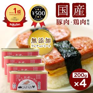 豚肉 鶏肉 缶詰 わしたポーク ジャパン 200g×12個セット 国産