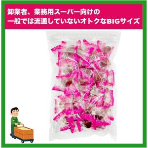 カリカリ梅 500g×4袋セット おやつ うめ...の詳細画像2