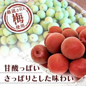 カリカリ梅 500g×4袋セット おやつ うめ...の詳細画像3