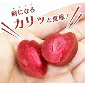 カリカリ梅 500g×4袋セット おやつ うめ...の詳細画像4