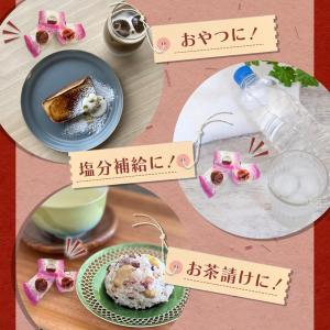 カリカリ梅 500g×4袋セット おやつ うめ...の詳細画像5