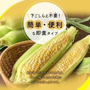 源清田商事 スイートコーン とうもろこし 6本...の詳細画像5