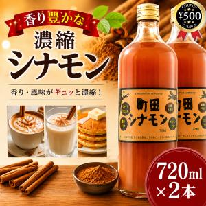 しなもんや 町田シナモン(濃縮タイプ) 700ml×2本 シナモン ドリンク 希釈飲料 甘味料・香料・保存料不使用 料理 製菓 ミルクティー 隠し味