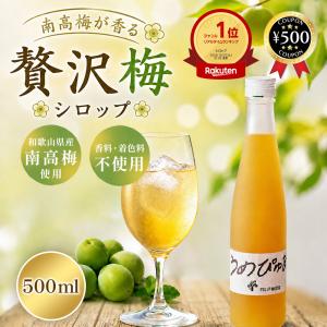 中田食品 梅シロップ 梅ジュース ギフト 完熟梅シロップ ジューシィ
