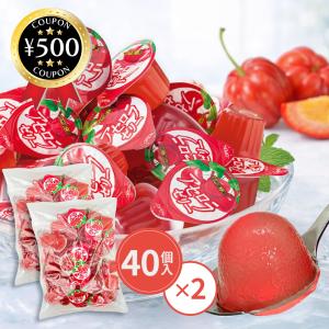 富士正食品 アセロラゼリーFe 22g×40個×2袋セット アセロラ ゼリー