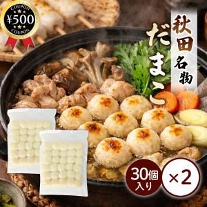 渡辺食品工業 だまこ餅 18g×30個入り×2袋セット 秋田県産 うるち米 だまこもち 米餅 鍋用 おでん 無添加 郷土料理 大容量 調理簡単