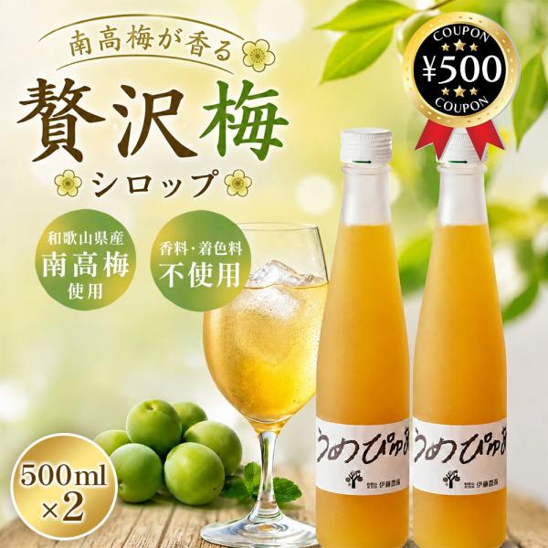 伊藤農園 うめぴゅあシロップ 500ml×2本セット 和歌山県産 国産 南高梅 梅シロップ 無添加 ...