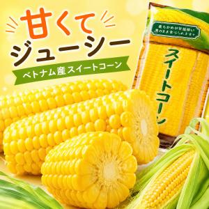 みさき スイートコーン 10本セット 真空パッ...の詳細画像3