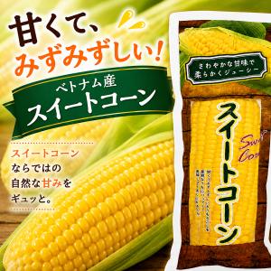 みさき スイートコーン 18本セット 真空パッ...の詳細画像3