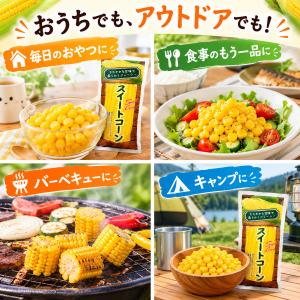 みさき スイートコーン 18本セット 真空パッ...の詳細画像5