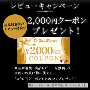 EastForce エイリアンチェアプロ 3万...の詳細画像3