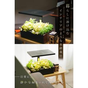 EastForce スマート水耕栽培キット 室...の詳細画像4