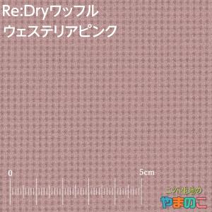 UVカット 吸水速乾 Re:Dryワッフル 全...の詳細画像4