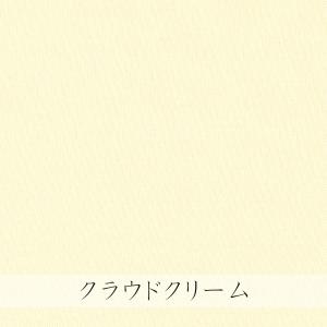 ニット生地 リュミエラ プレーティング天竺&l...の詳細画像3