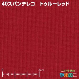 ニット生地 40スパンテレコ スウェット、トレ...の詳細画像2