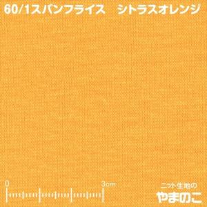 ニット生地60/1スパンフライス シトラスオレンジ...