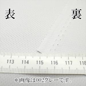 ニット生地 セオアルファUV エコ・トーヤコ ...の詳細画像1