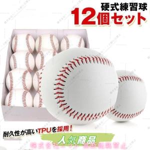 MIZUNO 野球 ミズノ 硬式練習球 1ダース売り(12個) 天然皮革