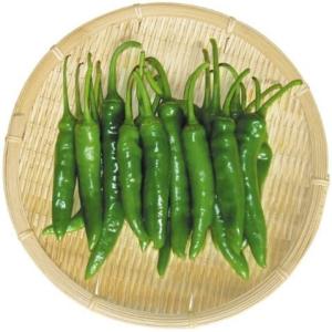 韓国産【常温発送】青唐辛子　韓国産「辛口」500ｇ｜knmart