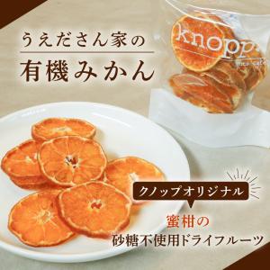 ドライフルーツ 国産 みかん 砂糖不使用 クノップ うえださん家の 有機みかん 25g 1袋 単品 無砂糖 無農薬 有機栽培 輪切り 皮ごと スライス ドライオレンジ｜knopp