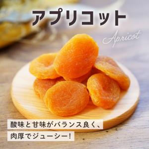 ドライフルーツ アプリコット 60g 1袋 単品 小分け クノップ あんず 杏子 ドライアプリコット｜knopp