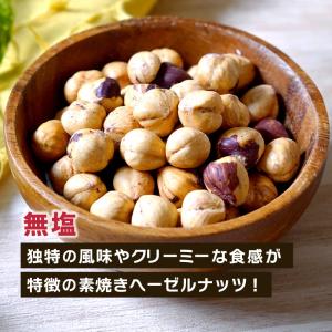 素焼き 無塩 ローストヘーゼルナッツ 40g 単品 無添加