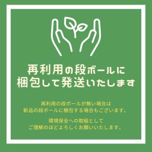 【送料無料】矢崎 調整器(R5A-HF) 1台...の詳細画像1