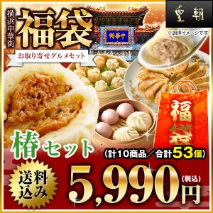 餃子 肉まん 福袋 点心 冷凍食品 冷凍餃子 ぎょうざ　メガ盛り お取り寄せグルメ 小籠包 冷凍食品 中華惣菜 詰め合わせ 送料無料 全10種53個入り