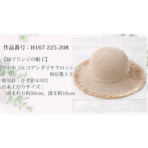Hamanaka 毛糸 ハマナカ エコアンダリ...の詳細画像4