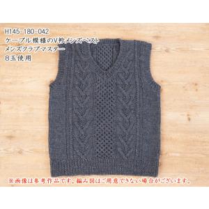 Hamanaka 毛糸 ハマナカ メンズクラブ...の詳細画像3