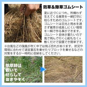 特価!防草&除草ゴムシート 防草剤 除草剤 使...の詳細画像4
