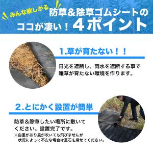 防草&除草ゴムシート 防草剤 除草剤 使いたく...の詳細画像2