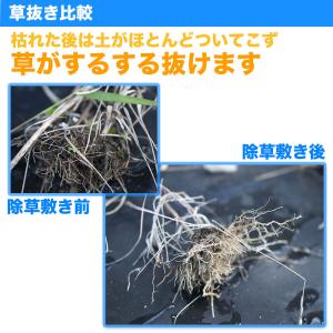 防草&除草ゴムシート 防草剤 除草剤 使いたく...の詳細画像5