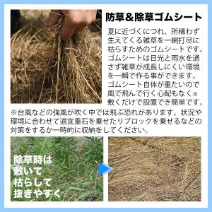防草&除草ゴムシート 防草剤 除草剤 使いたく...の詳細画像4