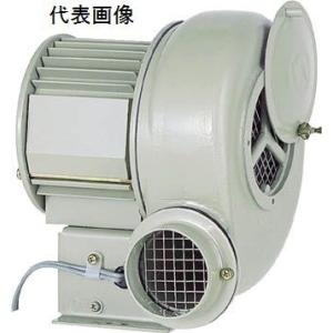 電動送風機 コンパクトシリーズ Eタイプ EC-63S-R3A3 昭和電機