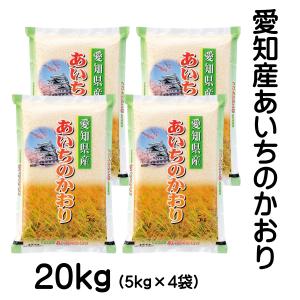 あいちのかおり お米 愛知県産 10kg 令和7年産 白米 5kg×2袋 「愛知産
