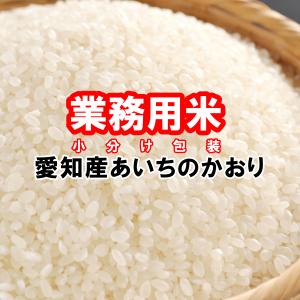 あいちのかおり お米 愛知県産 10kg 令和7年産 白米 5kg×2袋 「愛知産