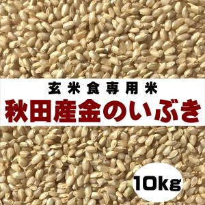 新米 もち米 令和6年産 岐阜県産もちみのり 10kg 餅米 白米 新米 もち米 令和6年産 岐阜県産もちみのり 10kg 餅米 白米
